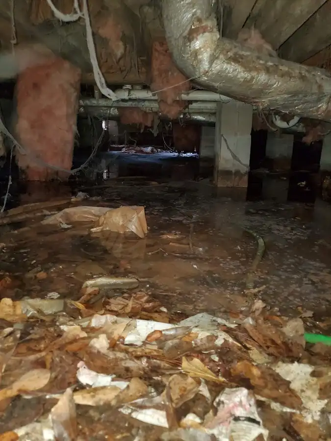 Crawl space flood assessment for Leak Detection & Repair in Byron